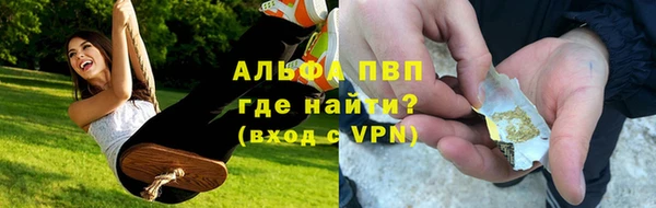 индика Горняк