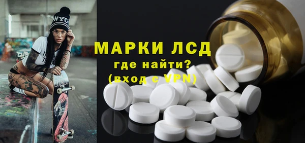 индика Горняк