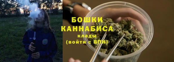 индика Горняк
