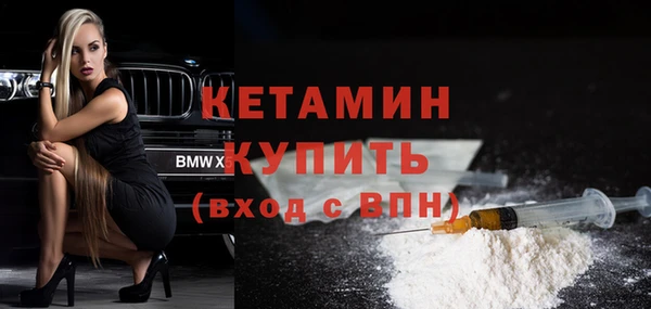 индика Горняк