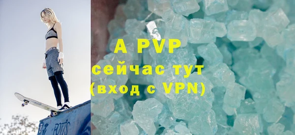 индика Горняк