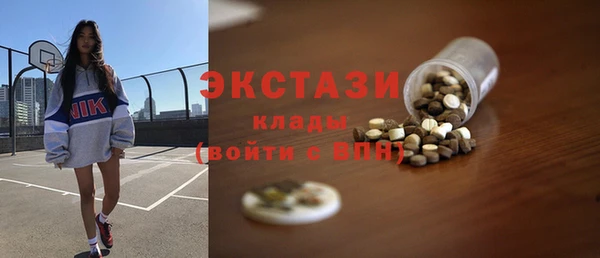 индика Горняк