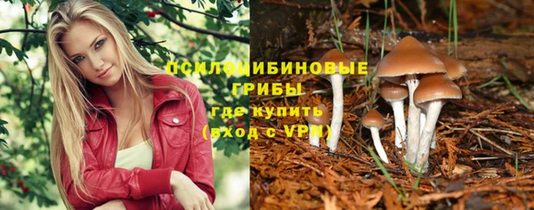 хмурый Горно-Алтайск