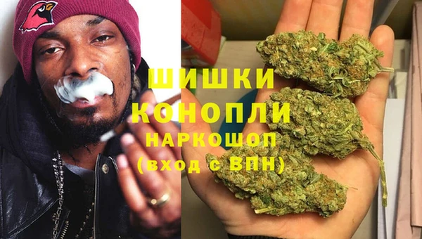 хмурый Горно-Алтайск
