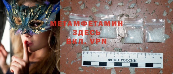 индика Горняк