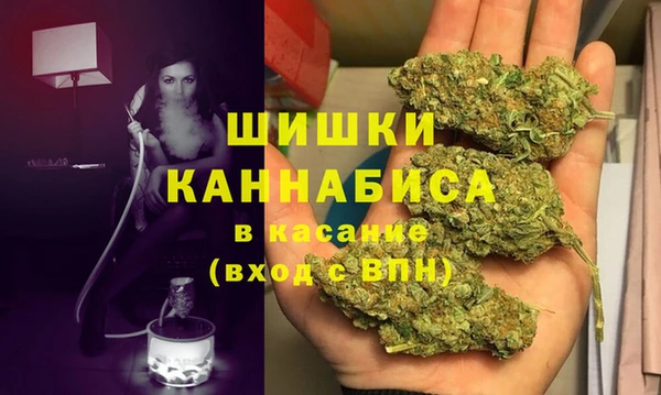 индика Горняк