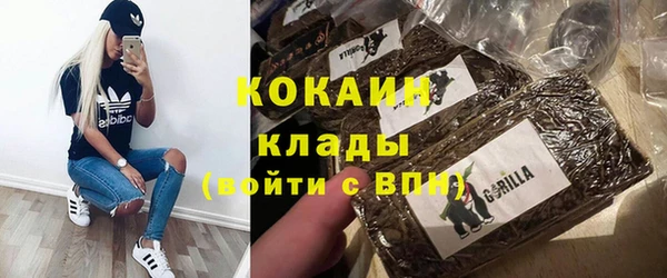 индика Горняк