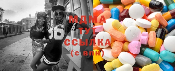 индика Горняк