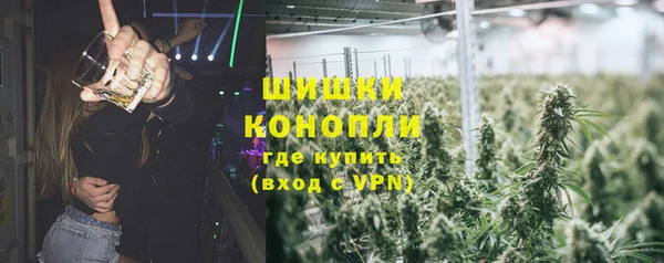 2c-b Горнозаводск